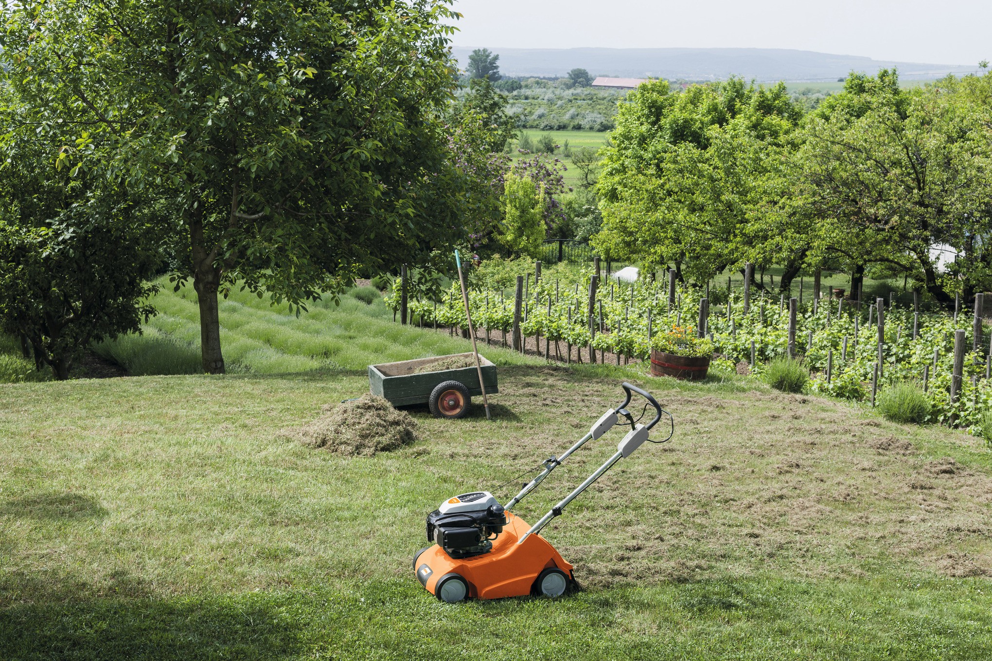 STIHL RL 540 - Benzin-Vertikutierer
