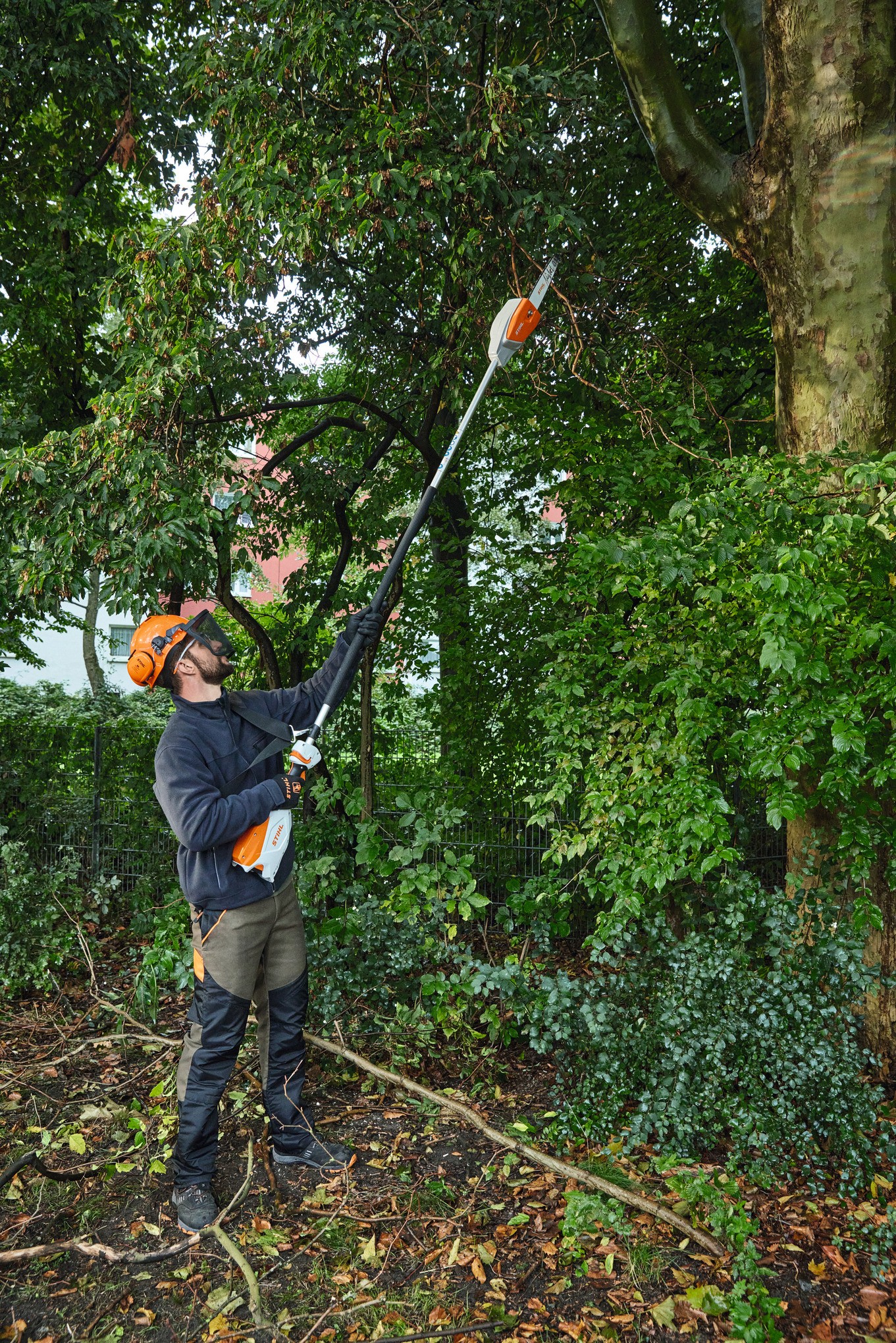 STIHL HTA 66 - Akku-Hochentaster